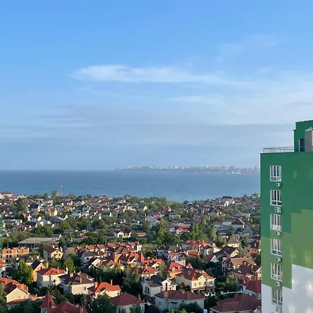 комфортные Odessa